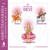 Amruthavarsha, Vol. 2 (Shlokas on Devi) - Разные артисты