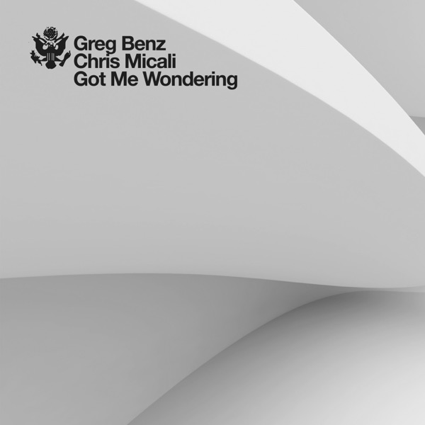 Got Me Wondering - Single
