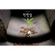 친밀감 EP