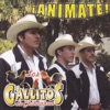 Los Gallitos de Chihuahua - Ojos llorones