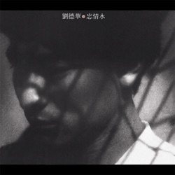 劉德華 - 忘情水