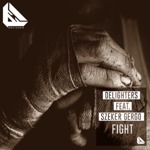 Fight (Remixes) [feat. Szeker Gergo] - EP