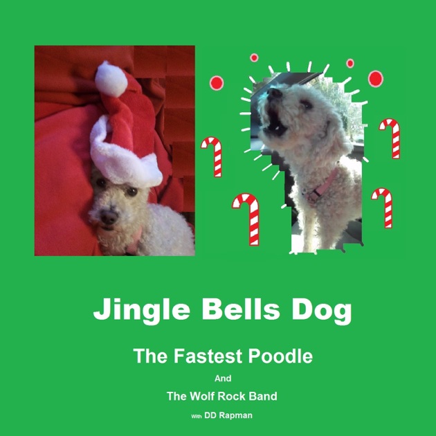Jingle Bells Dog (with The Wolf Rock Band & DD RapMan) - EP