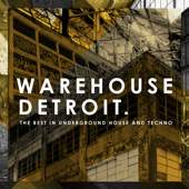 Warehouse Detroit - Various Artists