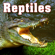 Baby Alligator Calling - Sound Ideas