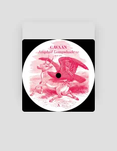 Listen to Cavaan, watch music videos, read bio, see tour dates & more!