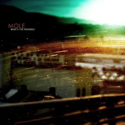 What's the Meaning? - Mole What's the Meaning? - Mole