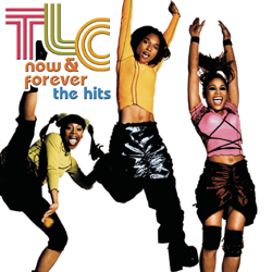 Now &amp; Forever: The Hits - TLC Cover Art