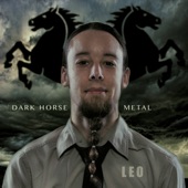 Dark Horse - Metal Cover artwork