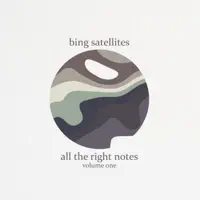 Possibilities — Bing Satellites