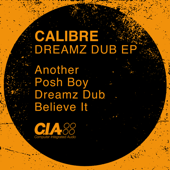 Dreamz Dub - EP - Calibre