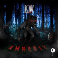 Amnesty - Single - Kai Wachi