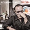 Tortuga, 2015