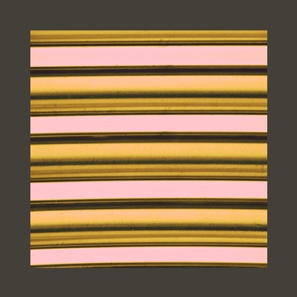 Tomorrow Who Knows - Single