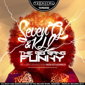 The Big Bang Funky Remixes - Single