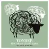 Yonder Mountain String Band - Ever Fallen in Love with Someone You Shouldn't Have