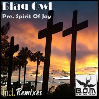 Spirit of Joy (El Vuitto Acayi's Remix) by Blaq Owl song reviws