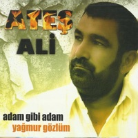 Kurtların Vadisinde