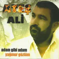 Kurtların Vadisinde — Ateş Ali