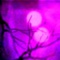 49 Min Headroom - Acrid Lemon lyrics