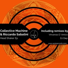 Head Shaker (Vincenzo D'amico Remix) Collective Machine & Riccardo Sabatini