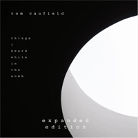 Rubies On Fallen Leaves