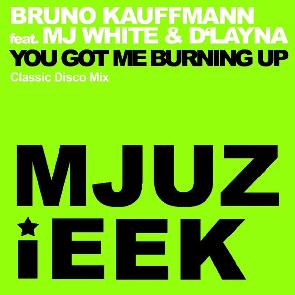You Got Me Burning Up (Classic Disco Mix) [feat. MJ White & D'Layna] - Single