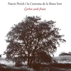 L'arbre amb Fruits - Narcís Perich