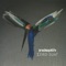 Screw You - Indepth lyrics