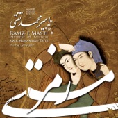 Ramz-E Masti artwork