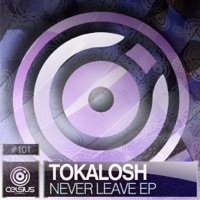 Never Leave Ep - Tokalosh