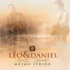 Ferido