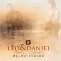 Ferido