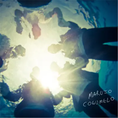 Old Funky Rooster - Single - Marujo Cogumelo