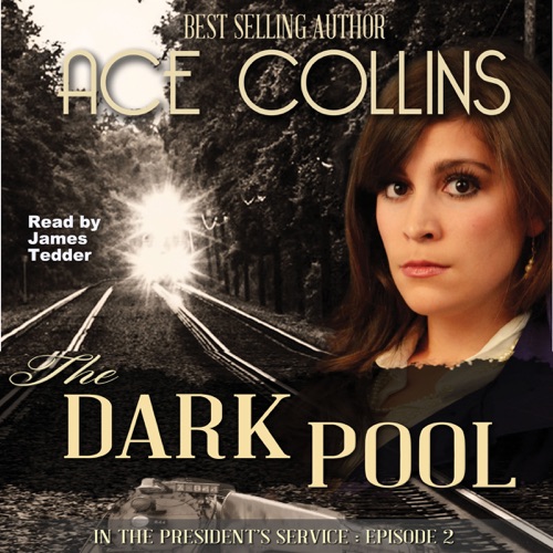 The Dark Pool: In the President's Service, Episode Two  (Unabridged) cover