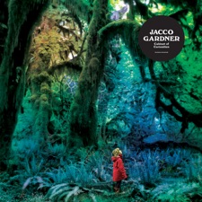 Jacco Gardner - Summer's Game