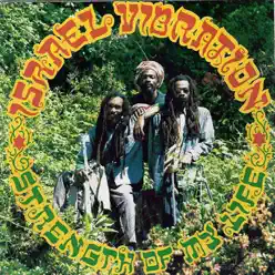 Strenght of My Life - Israel Vibration
