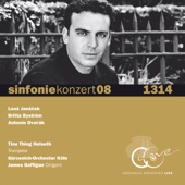 Sinfonie Nr. 7 d-Moll op. 70 B 141 - 4. Finale: Allegro (Live) artwork