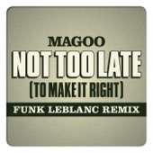 Not Too Late (To Make It Right) [Funk Leblanc Remix] [feat. Magoo] artwork