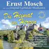 Auf der Vogelwiese