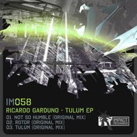 Tulum - Single - Ricardo Garduno