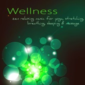 Wellness (Zen Relaxing Music for Yoga, Stretching, Breathing, Sleeping & Massage) artwork