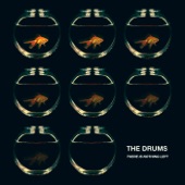 The Drums - There Is Nothing Left (TOKiMONSTA Remix)