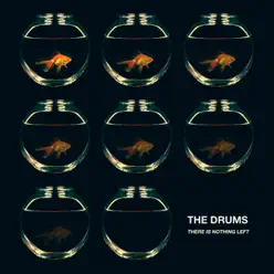 There Is Nothing Left - Single - The Drums