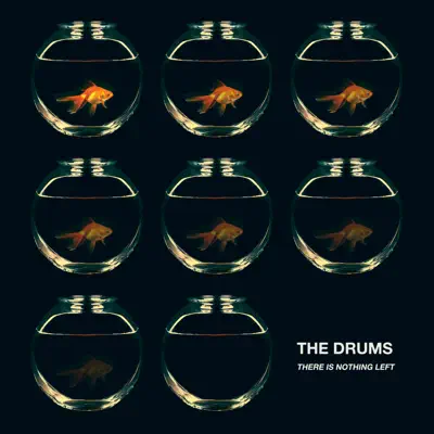 There Is Nothing Left - Single - The Drums