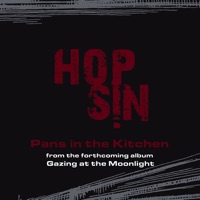Pans In the Kitchen - Single - Hopsin