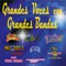 Todavía Te Quiero - Banda Nueva Ilusión lyrics