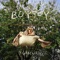 Building an Empire - BOYTOY lyrics