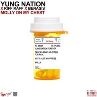 Molly on My Chest (feat. Riff Raff & Benasis) - YUNG NATION