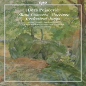 Overture in D Minor, Op. 49 artwork